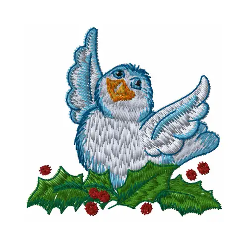 Dhaga raga festive sangBird design embroidered