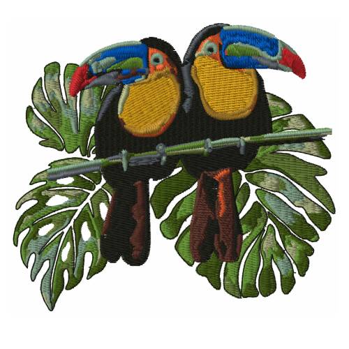 Tropical Toucan