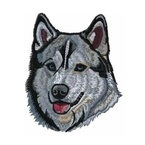 Dhagaraga Hound Husky