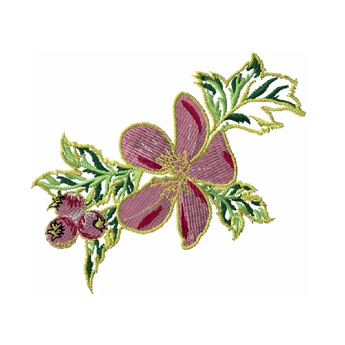 Dhaga Raga Babur Pink