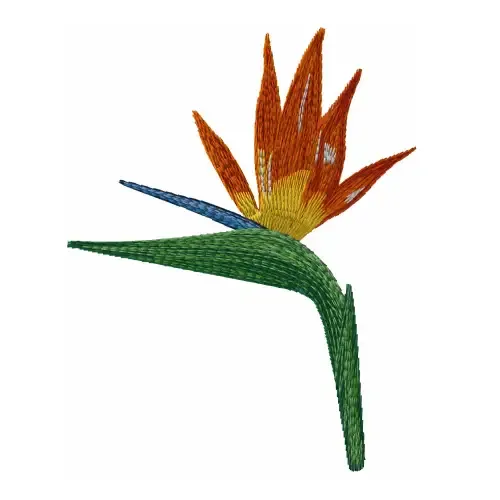 Dhaga Raga Exotic Flower Design