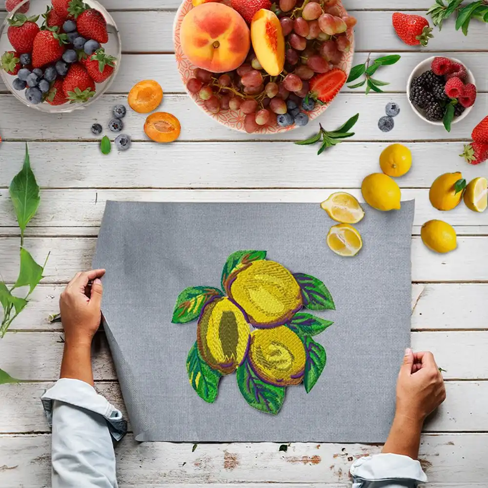 Dhaga Raga Embroidered Fruit Design