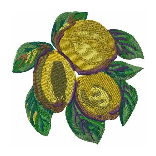 Dhagaraga Lemon Fruti D Italia