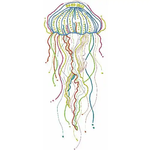 Dhagaraga Jelly Fish