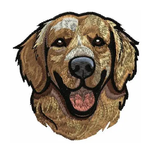 dhagaraga golden boy