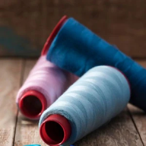 threads-on-dhaga-raga