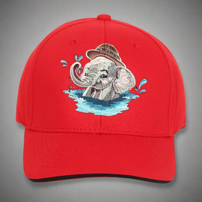 Dhaga Raga Embroidery kids caps