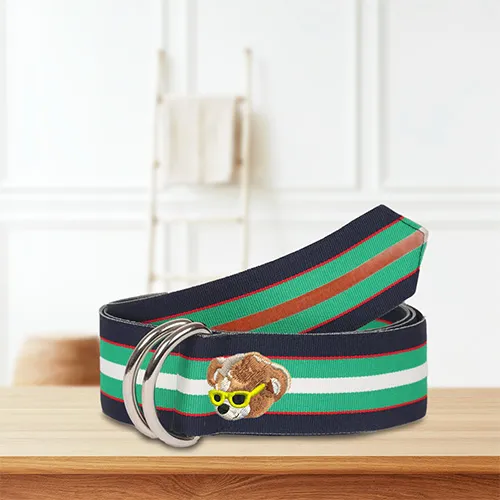 Dhaga Raga Embroidery coco Chester Grosgrain Ribbon D Ring Belt