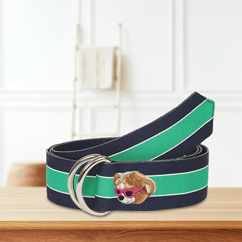 Dhaga Raga Embroidery fred design belts