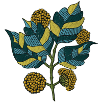 Marigold