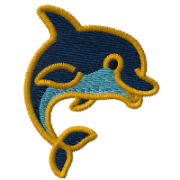 Dolphin Splash