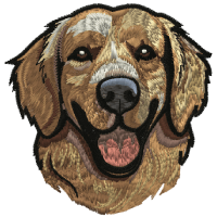 Happy Retriever