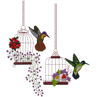 Love in Cage